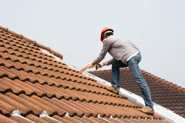 Reliable Ladonia, AL Roofing service Solutions